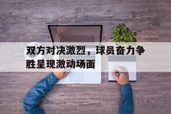 沙巴体育官网入口-双方对决激烈，球员奋力争胜呈现激动场面的简单介绍